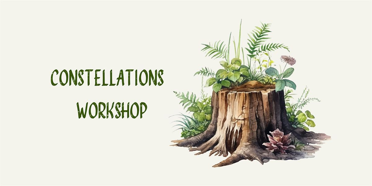 May Constellations Workshop