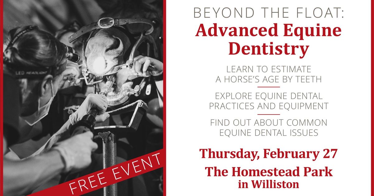 Beyond the Float: Advanced Equine Dentistry