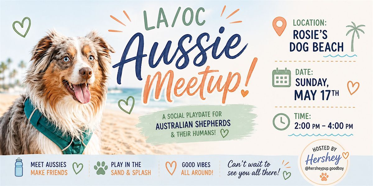 LA\/OC Australian Shepherd Meetup at Rosie\u2019s Dog Beach