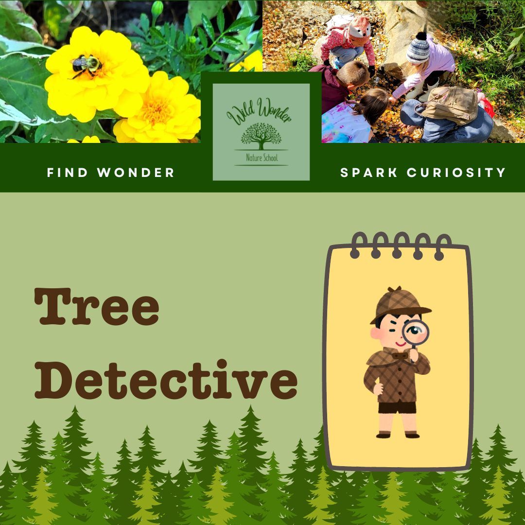 Wild Wonder: Tree Detectives