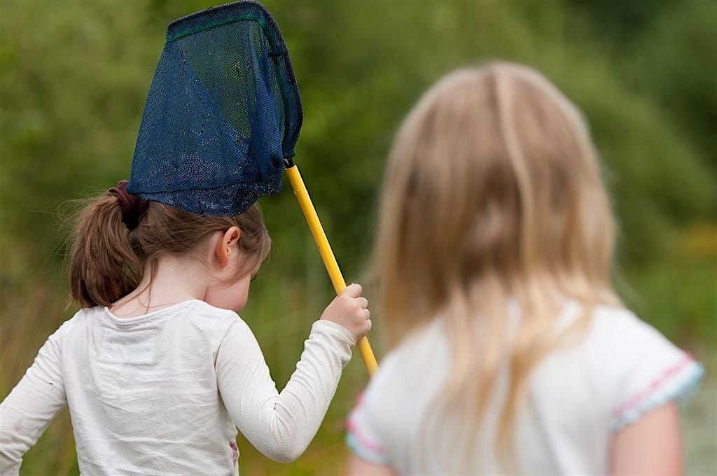 Summer Family Fun at Sevenoaks Wildlife Reserve: Pond Dipping