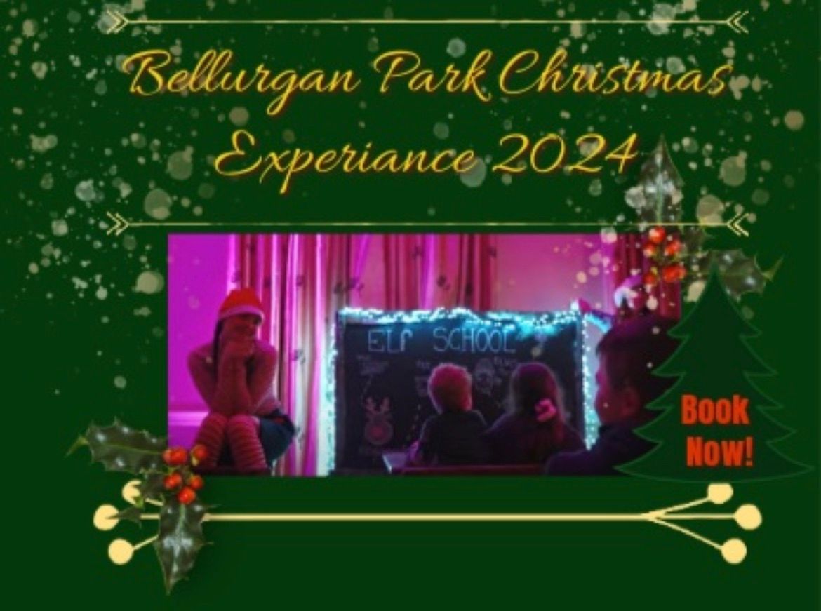 \ud83c\udf84Bellurgan Park Christmas Experience\ud83c\udf84