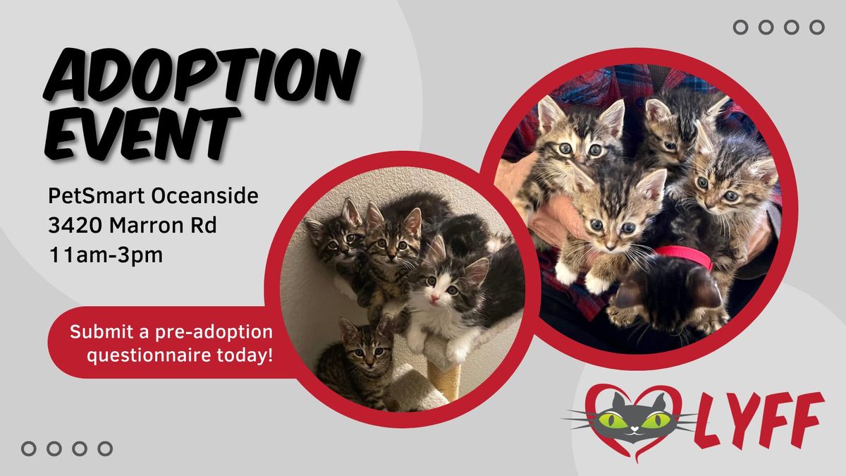 Cat & Kitten Adoption Event