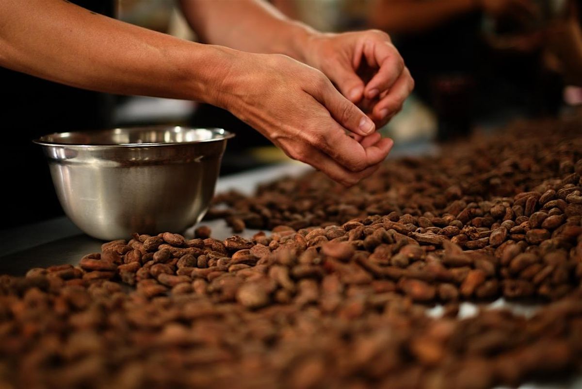 Chocolate Making and Tasting Workshop