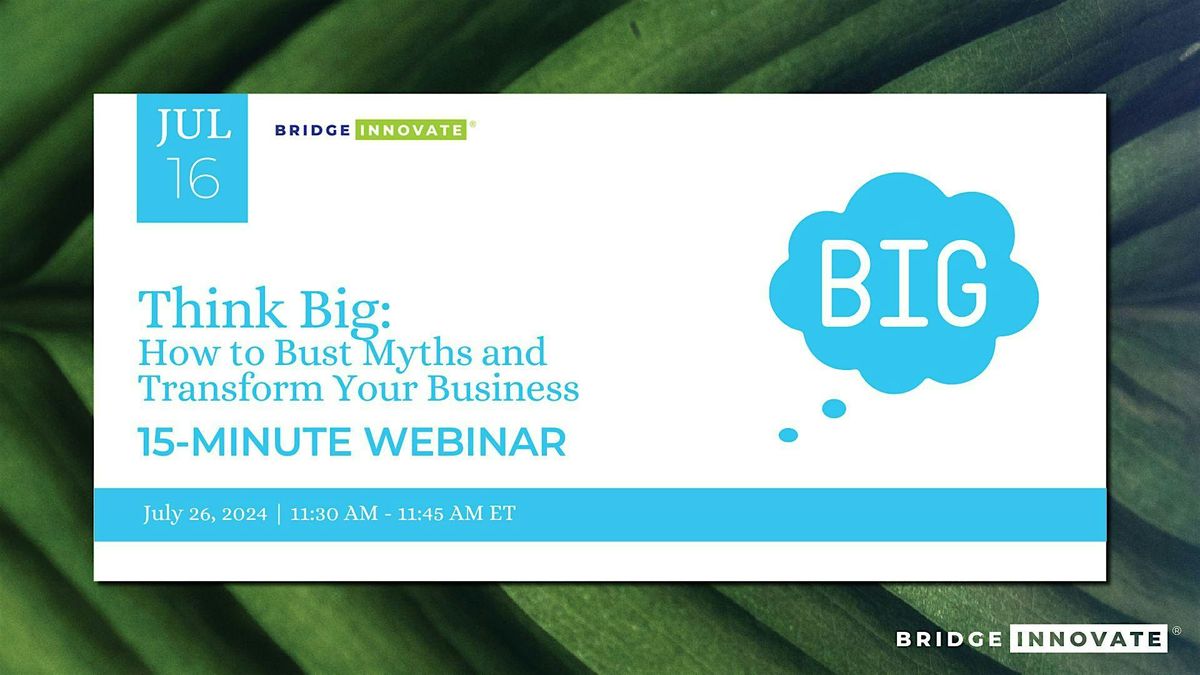 Think Big: How to Bust Myths and Transform Your Business