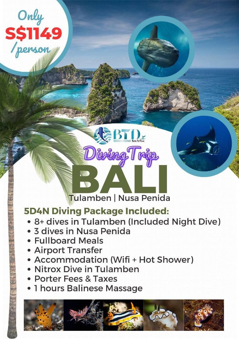 Diving in Tulamben + Nusa Penida