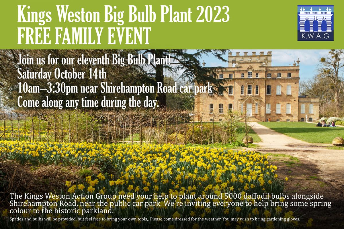 Kings Weston Big Bulb Plant 2023