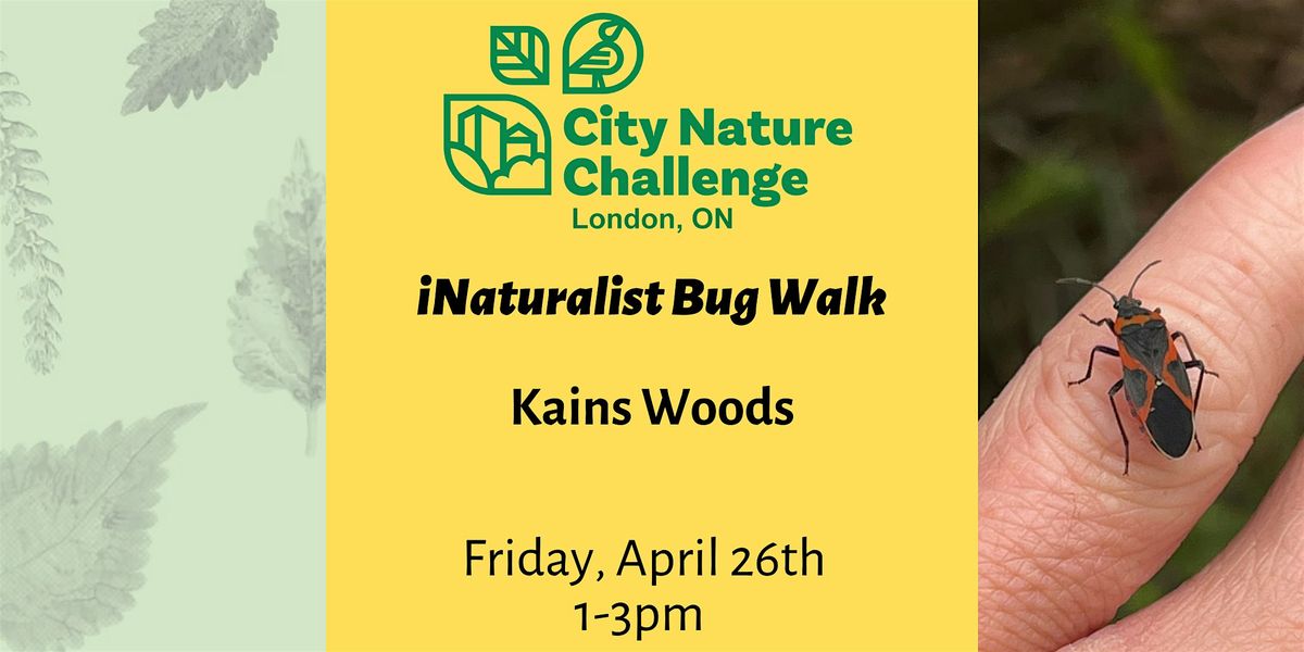 iNaturalist Bug Walk