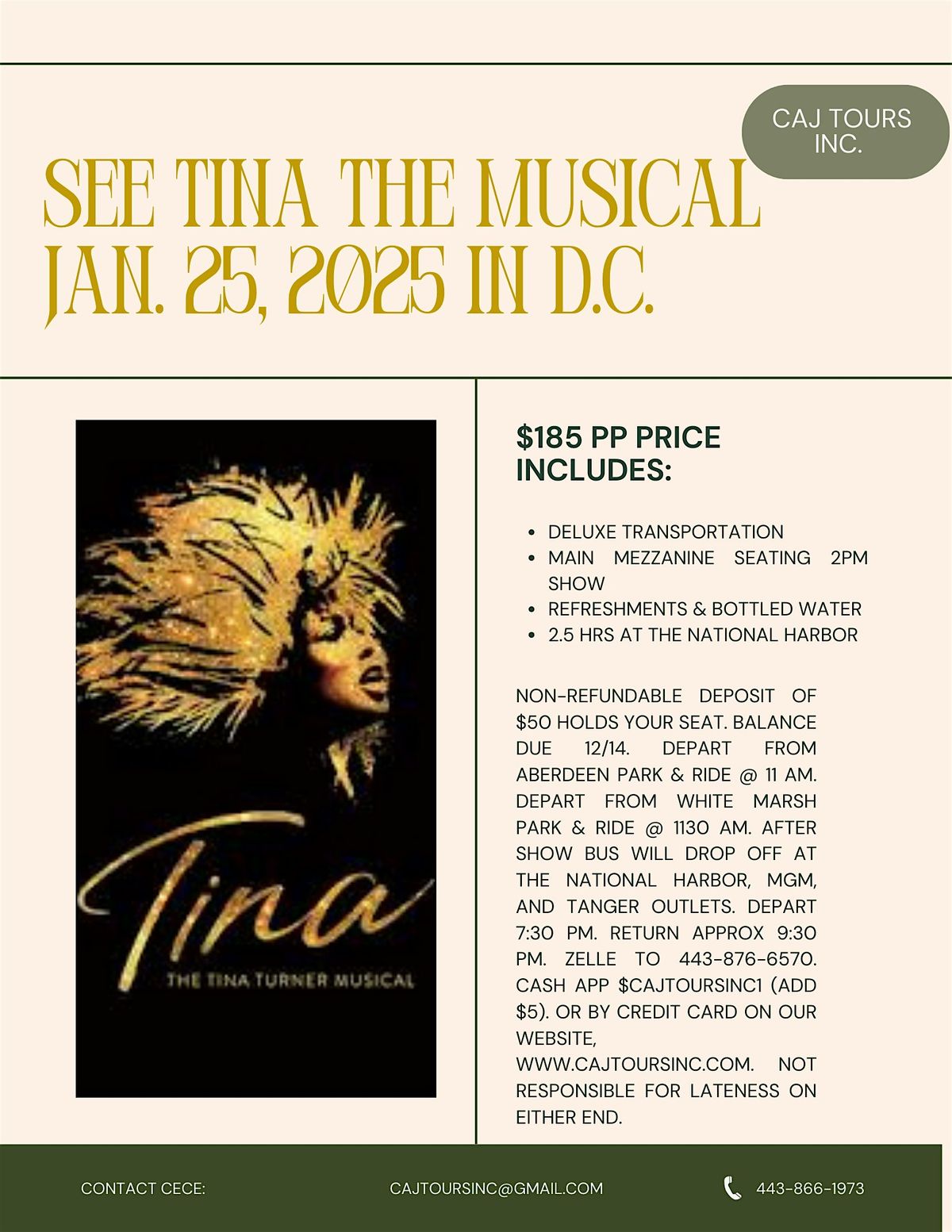 Tina the Musical