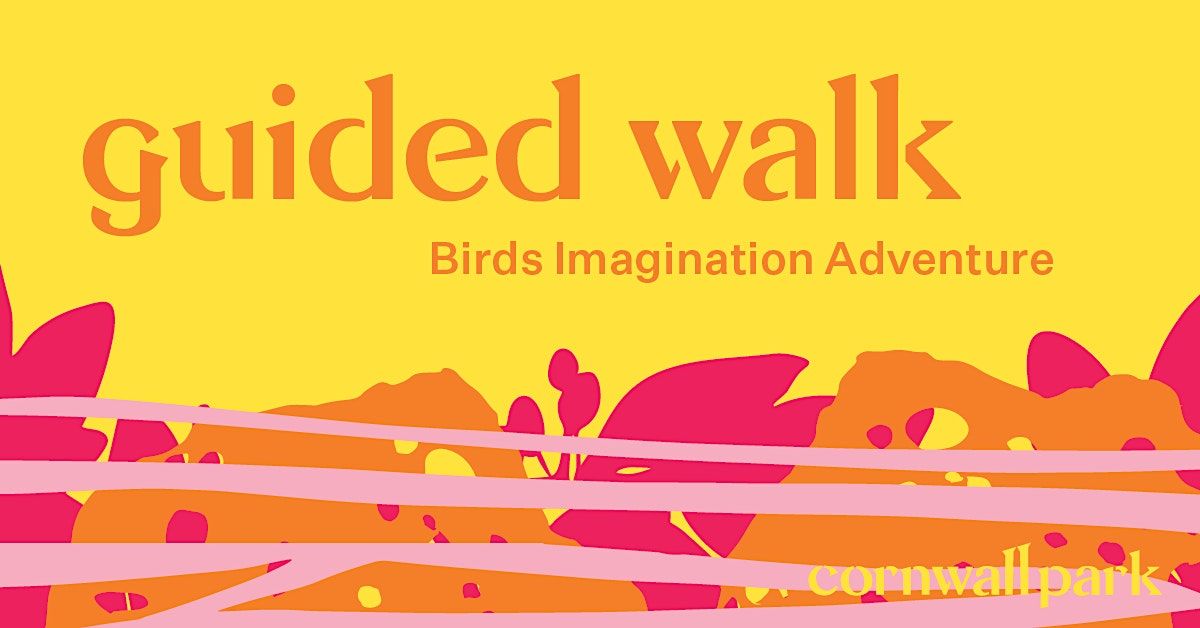 Guided Walk: Birds Imagination Adventure