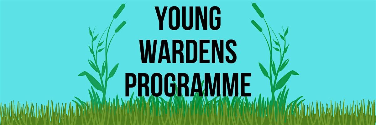 Young Wardens: Bio-Blitz at the Avalon Marshes Centre