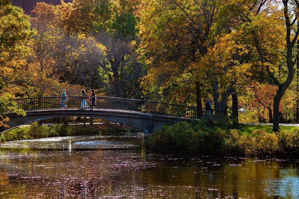 Guided Esplanade Photography Tours