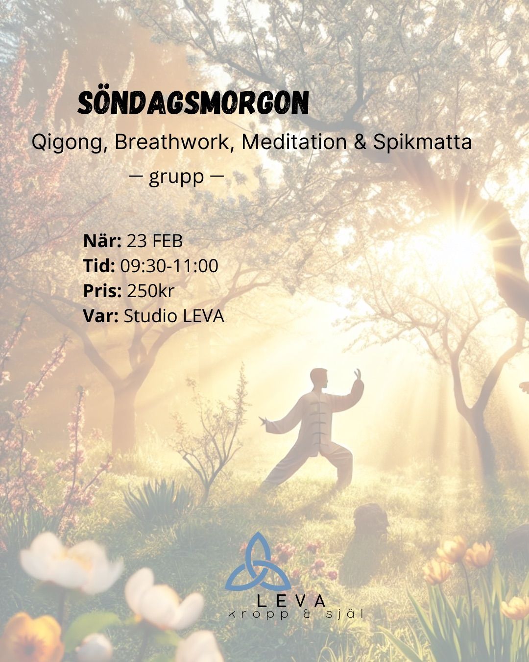 S\u00d6NDAGSMORGON med Qigong, Breathwork & Meditation