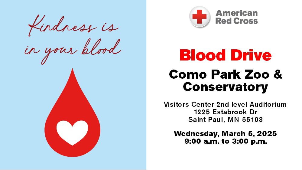 American Red Cross Blood Drive