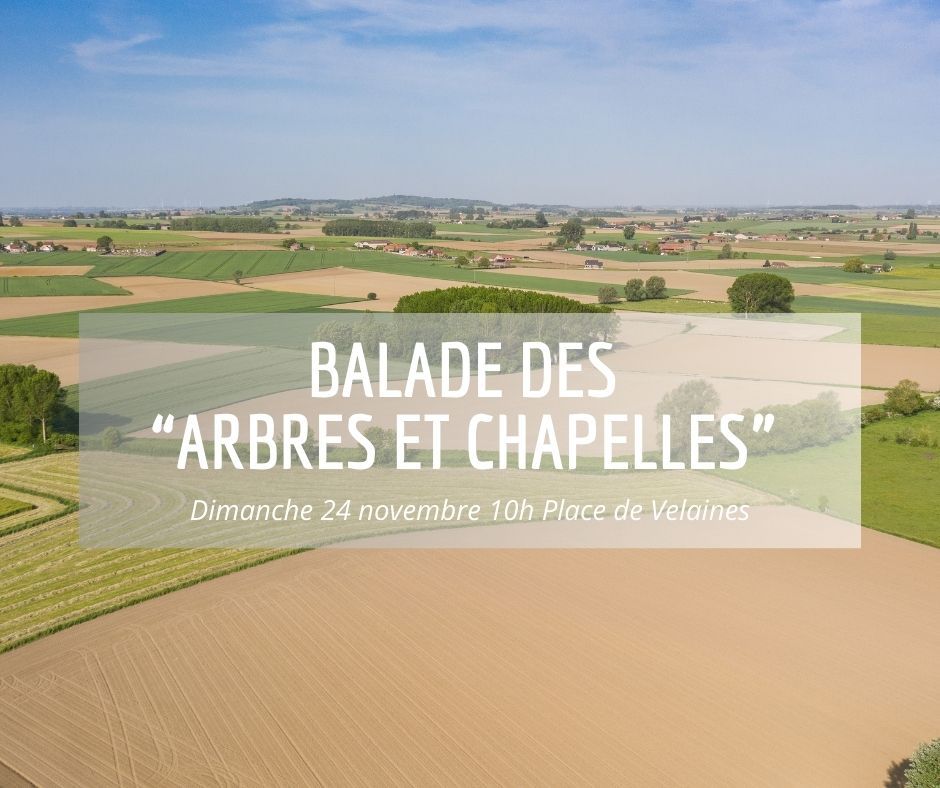 Balade des \u201carbres et chapelles\u201d de Velaines