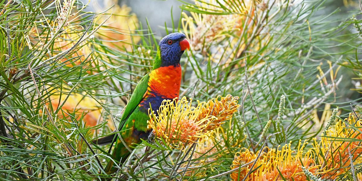 Wildlife Friendly Gardening - Mornington Library