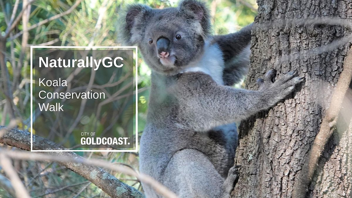 NaturallyGC Koala Count Conservation Walk