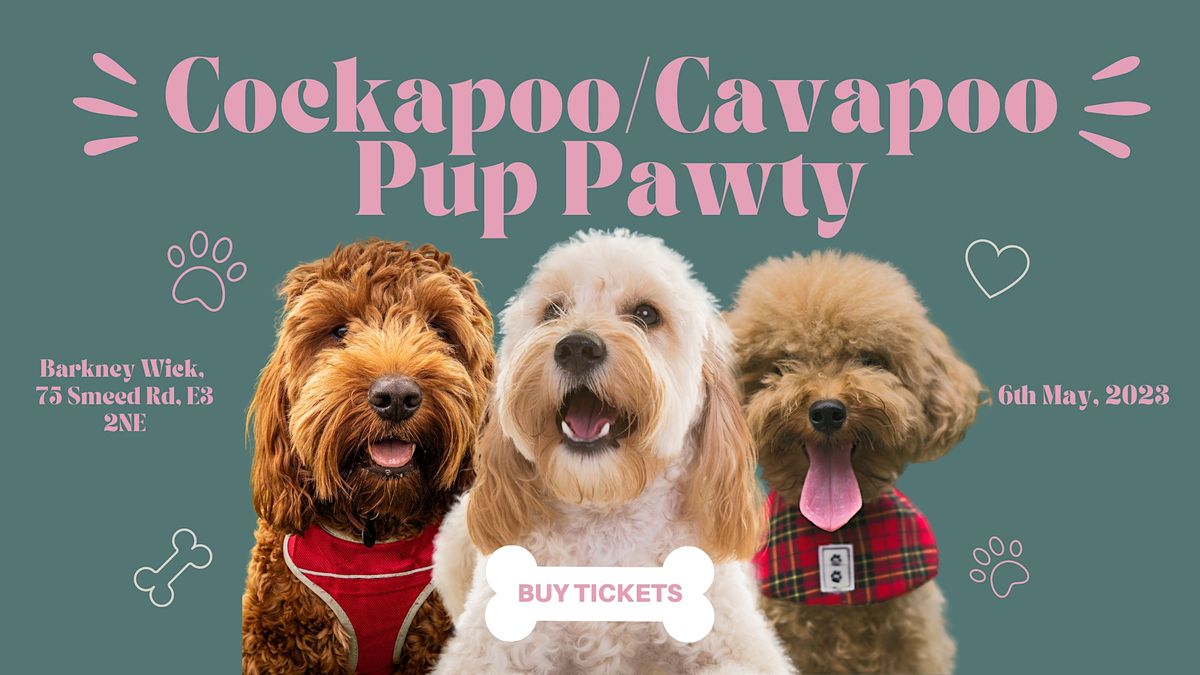 Cockapoo & Cavapoo Pup Pawty