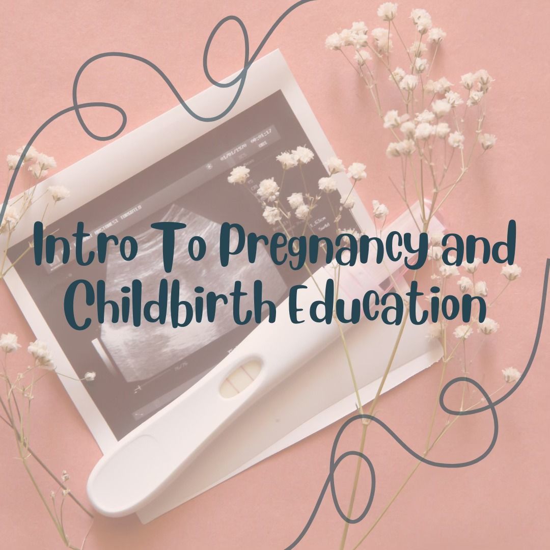 Intro to Pregnancy and Childbirth Education- Springfield