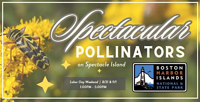 Spectacular Pollinators on Spectacle Island