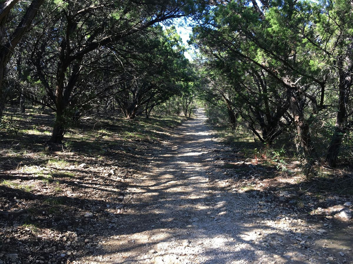 Healthy Minds Hike