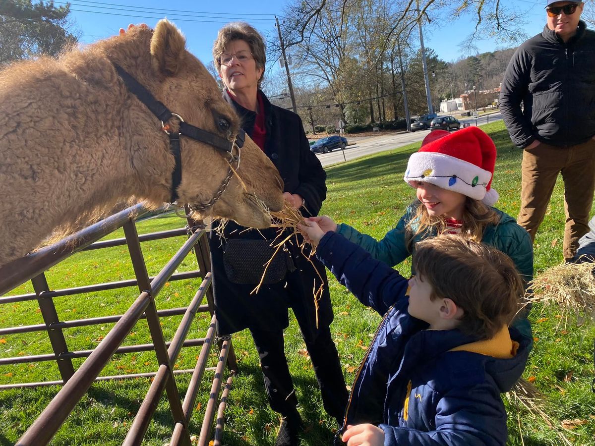 Nativity Petting Zoo