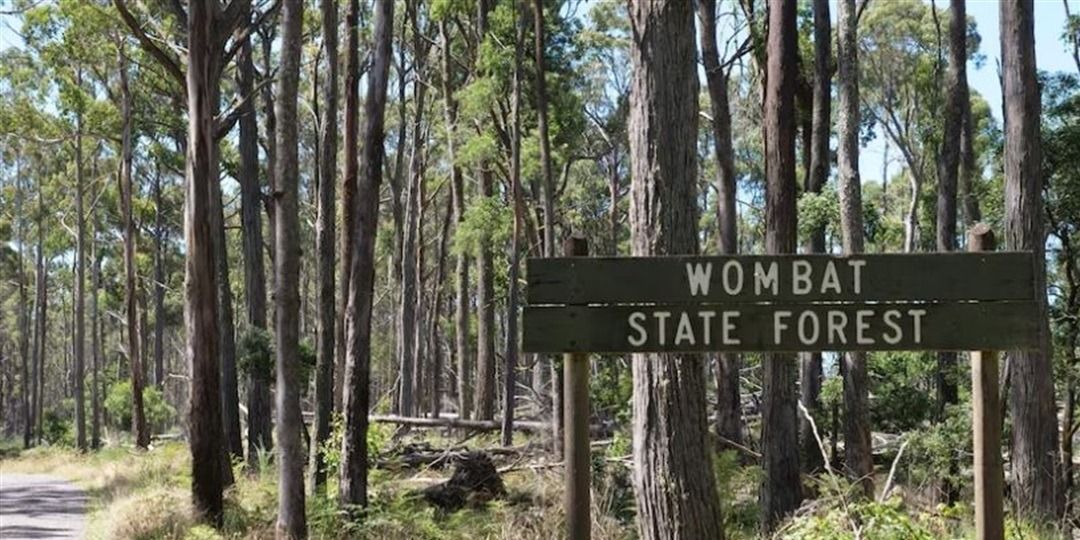 Try Bushwalking Month - Where are the Wombats Trail - Grade 3 (Easy to Medium) 