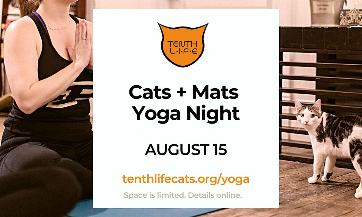 Cats N' Mats Yoga Night - August 2024