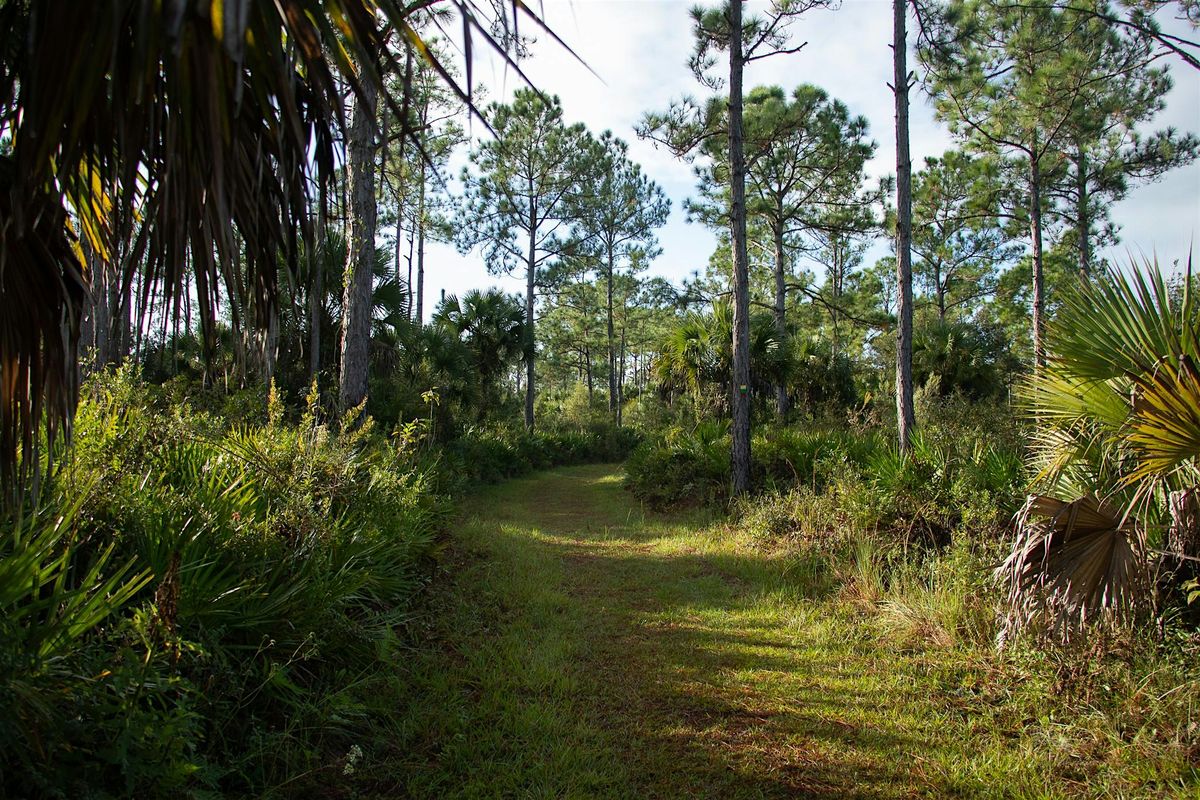 Guided Walk: CREW Marsh Trails (Red Trail)