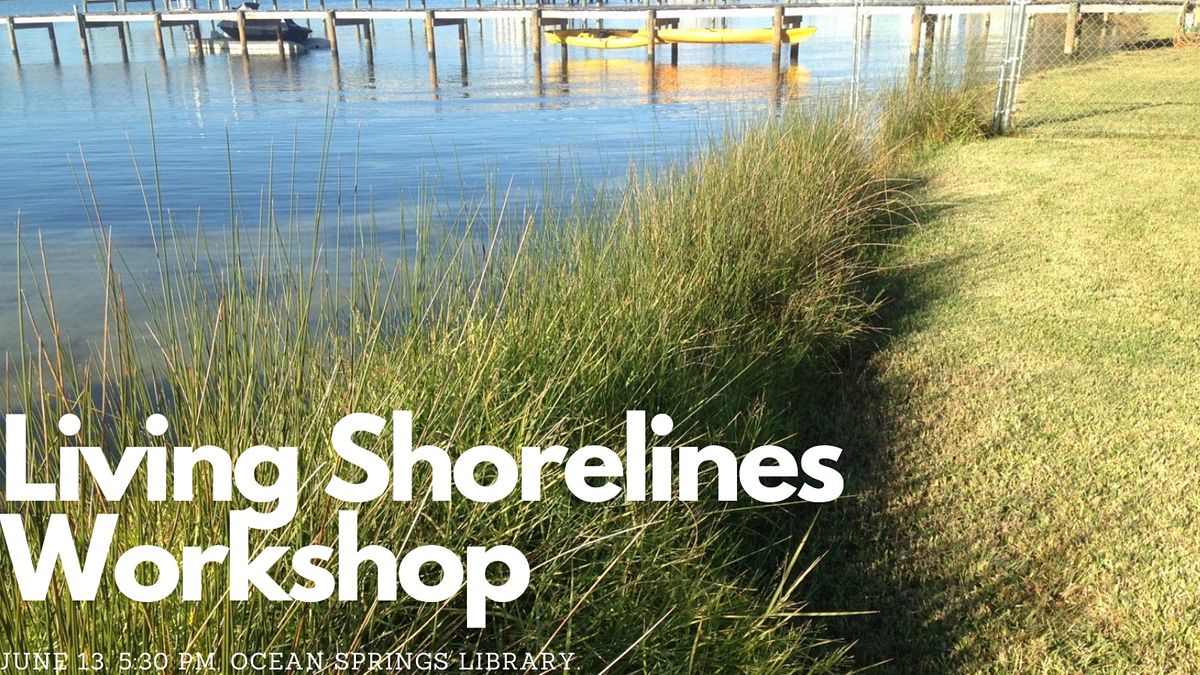 Living Shorelines for Ocean Springs Waterfront Property Owners