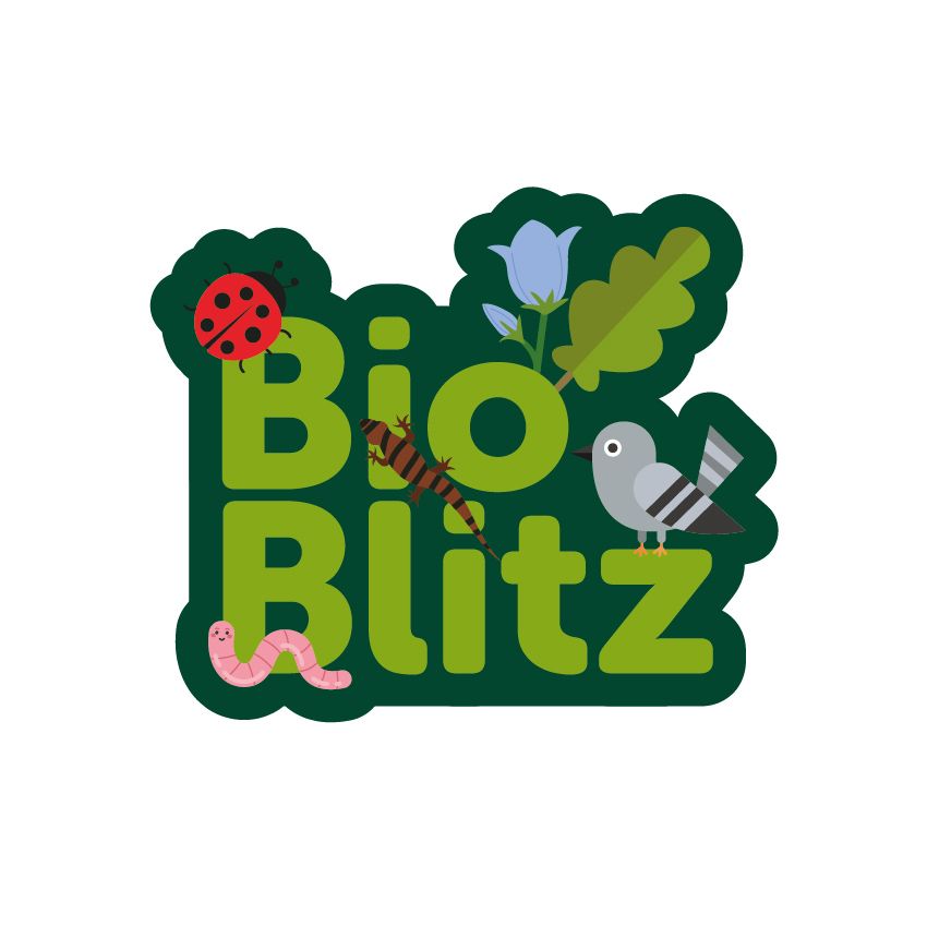 BioBlitz! - Itchen Valley Country Park 
