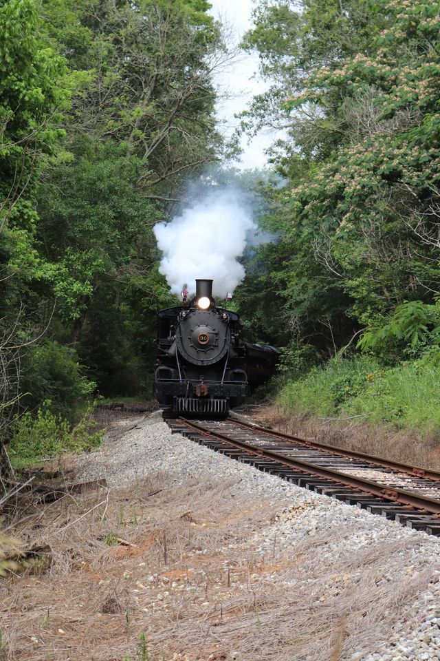 Piney Woods Express Steam Excursion 