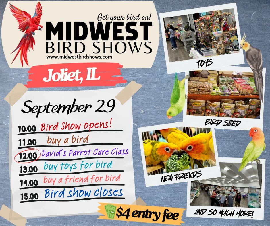 Joliet BIRD SHOW