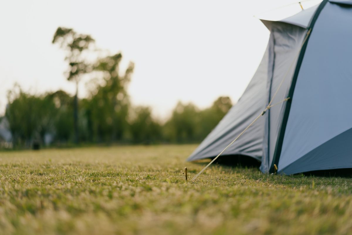 Camp Out at The AMP