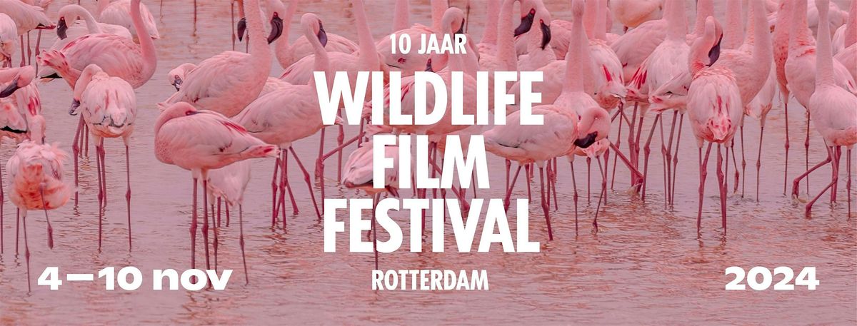 Wildlife Film Festival Rotterdam lokaal: 'Het vergeten leven van Nederland'