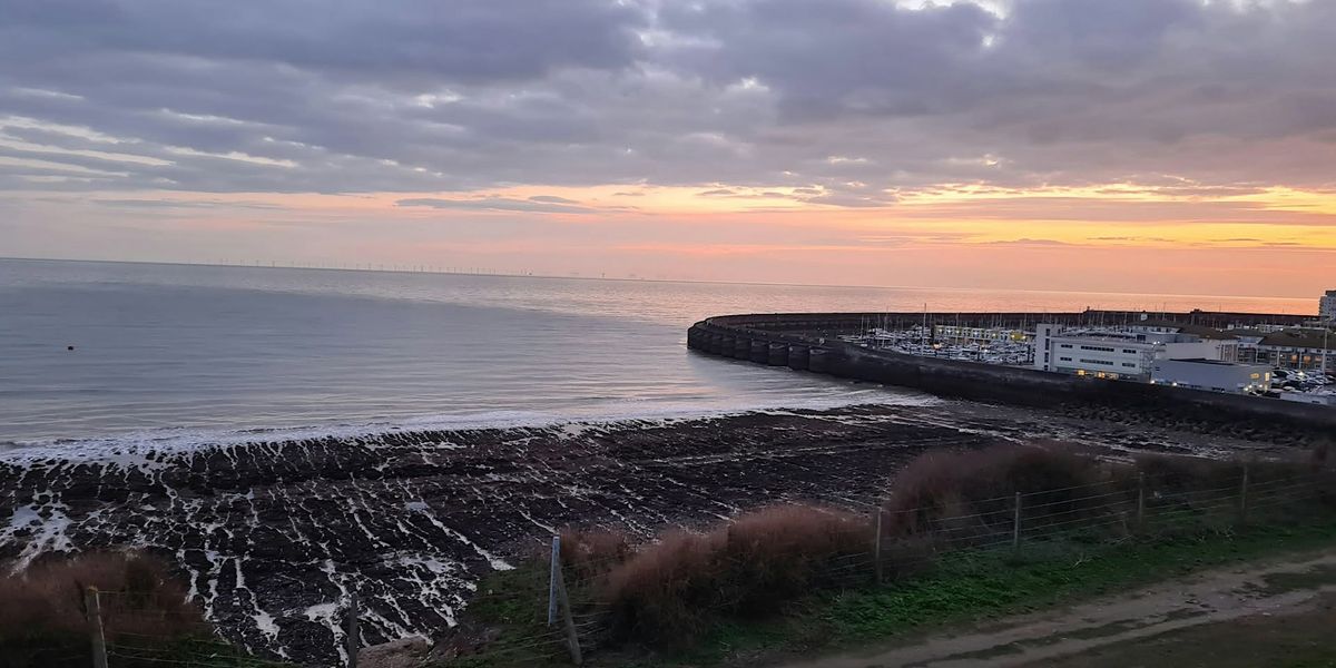 Coastal Foraging Workshop - Brighton - Sea Vegetables Sea W**d. Sunset Walk