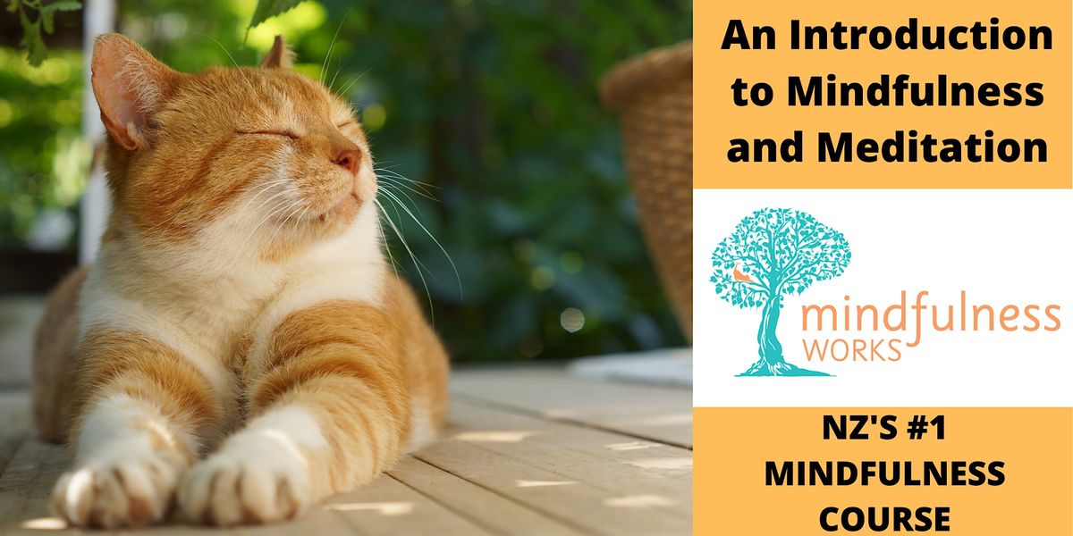 An Introduction to Mindfulness & Meditation 4-Week Course \u2014 Petone