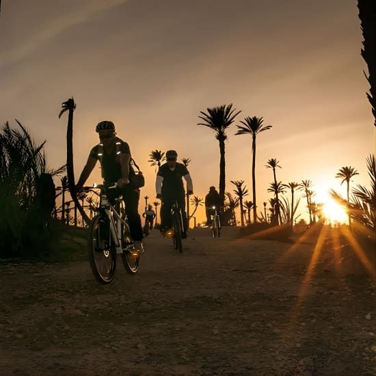 The Palmery Off-Road Bike Tour from Marrakech