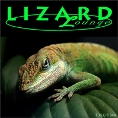 Lizard Lounge Cambridge