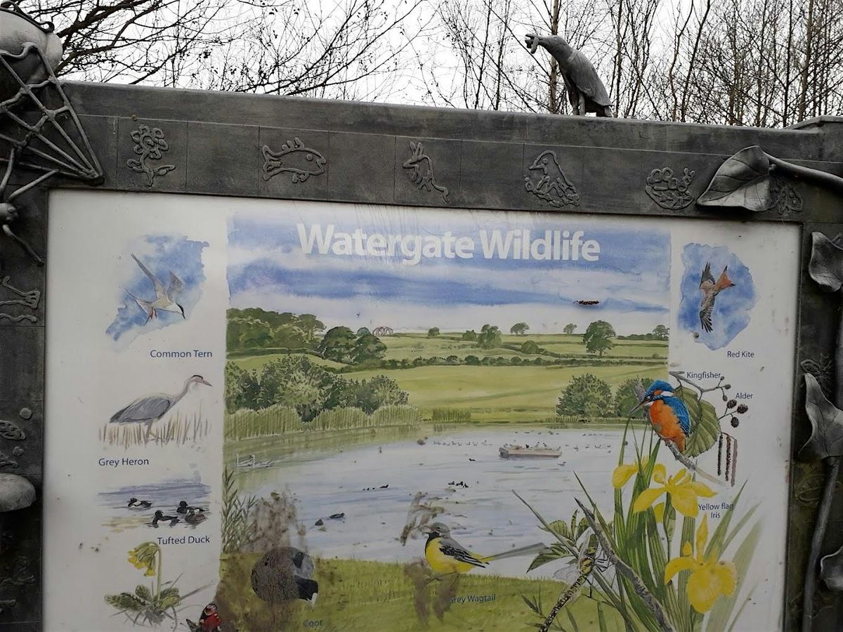 Watergate Park Nature Club