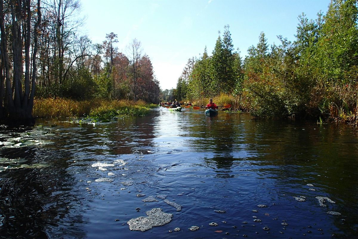 Fall in the Okefenokee Swamp AND Pioneer Days Festival