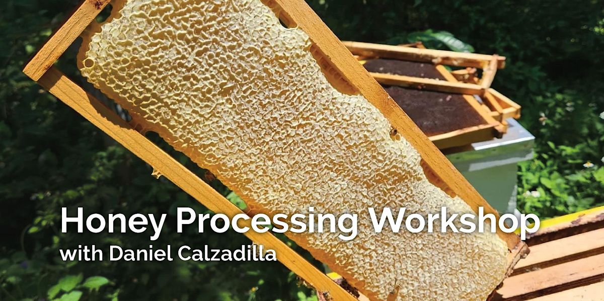 Honey Processing Workshop with Daniel Calzadilla