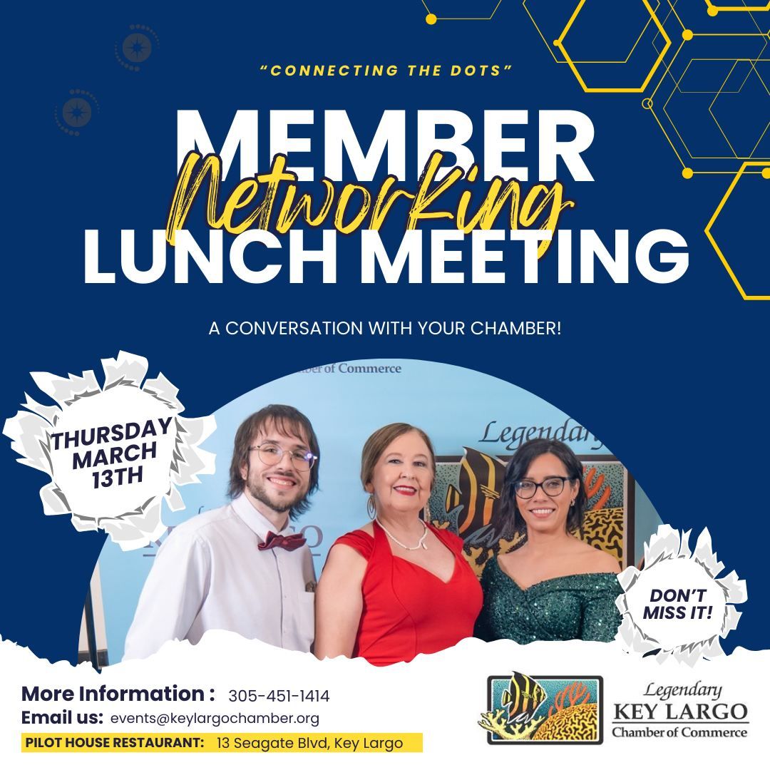 Member Networking Lunch - "Connecting the Dots"