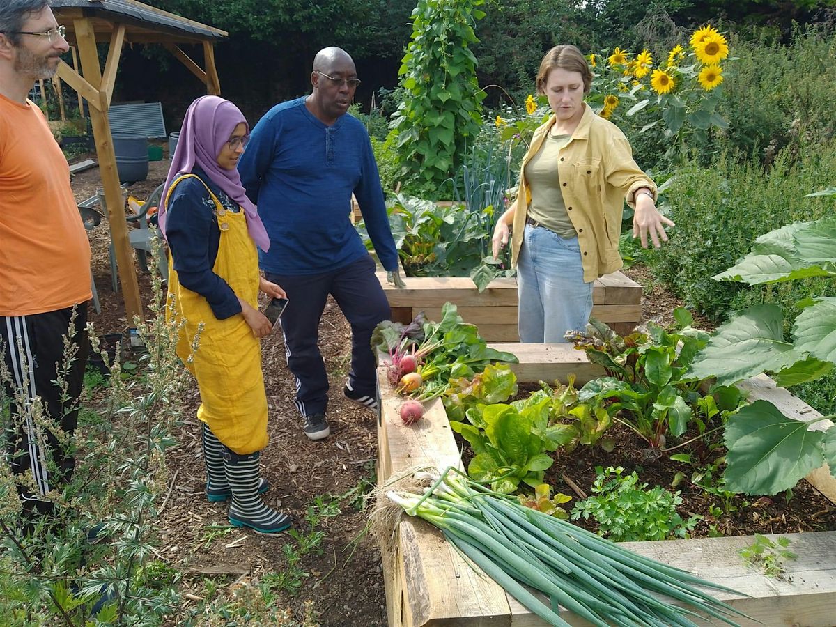 September food growing workshop