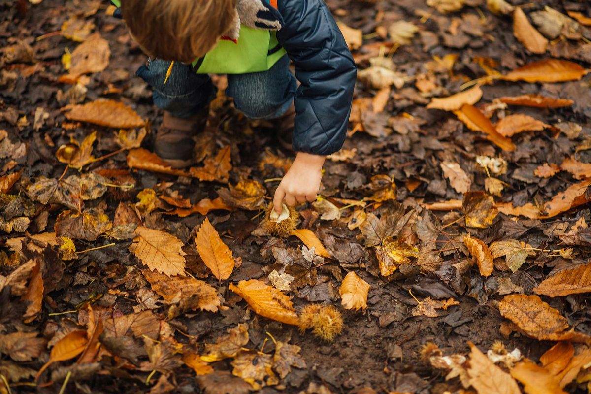 Abberton Home Education Autumn Expedition