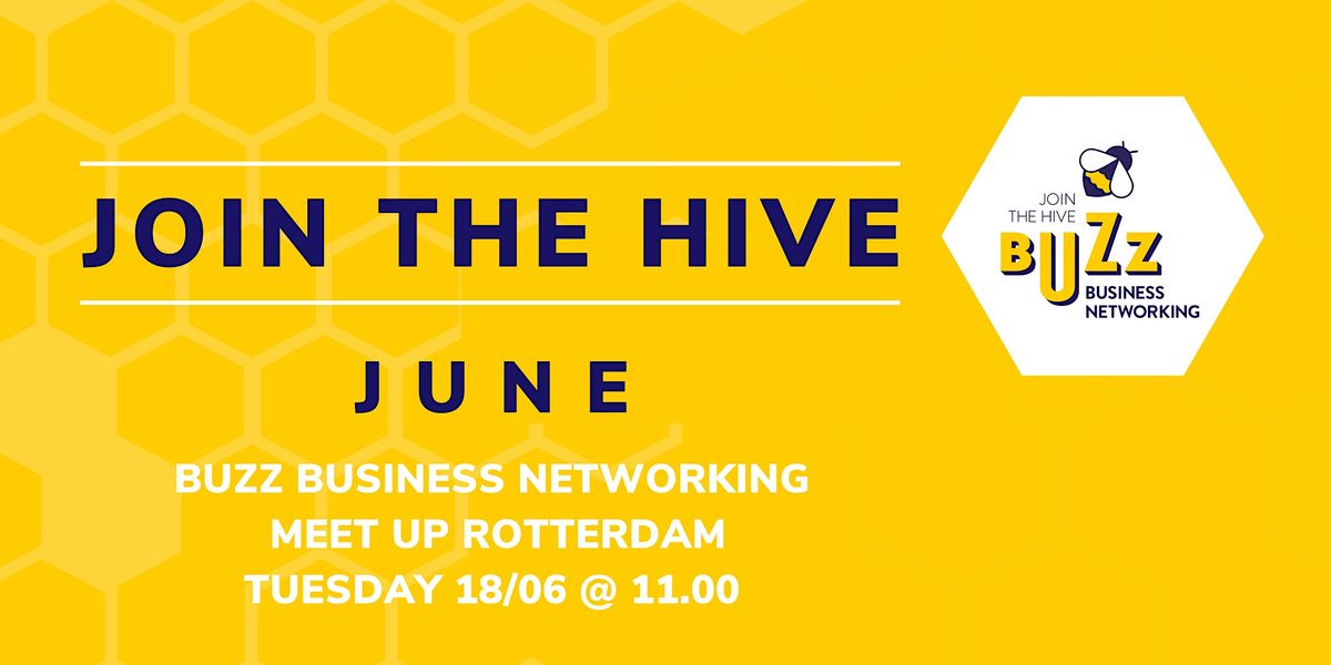 June 2024 Buzz Business Networking Meet Up \u2013 Rotterdam