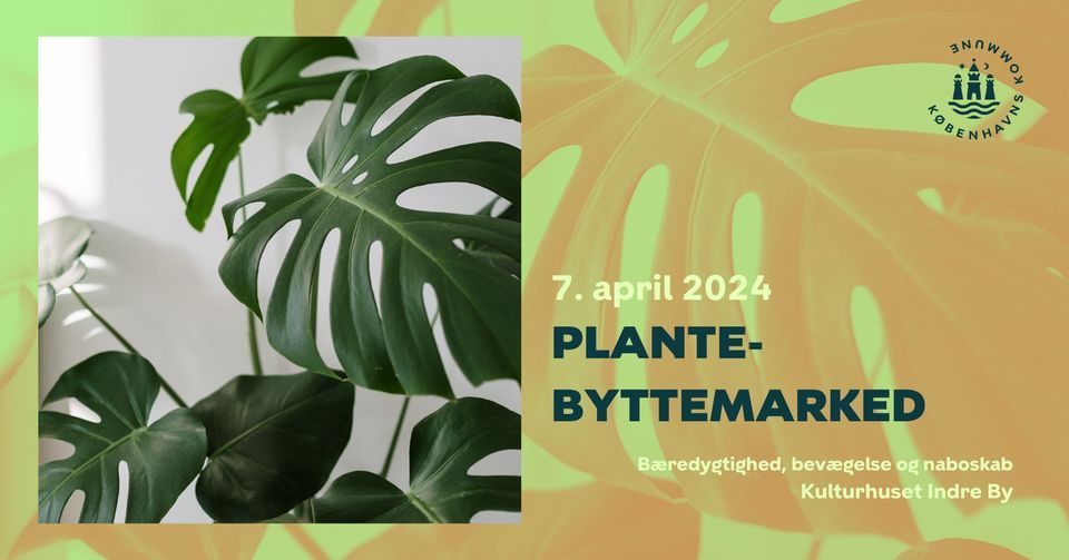 Plantebyttemarked \/\/ Plant swap