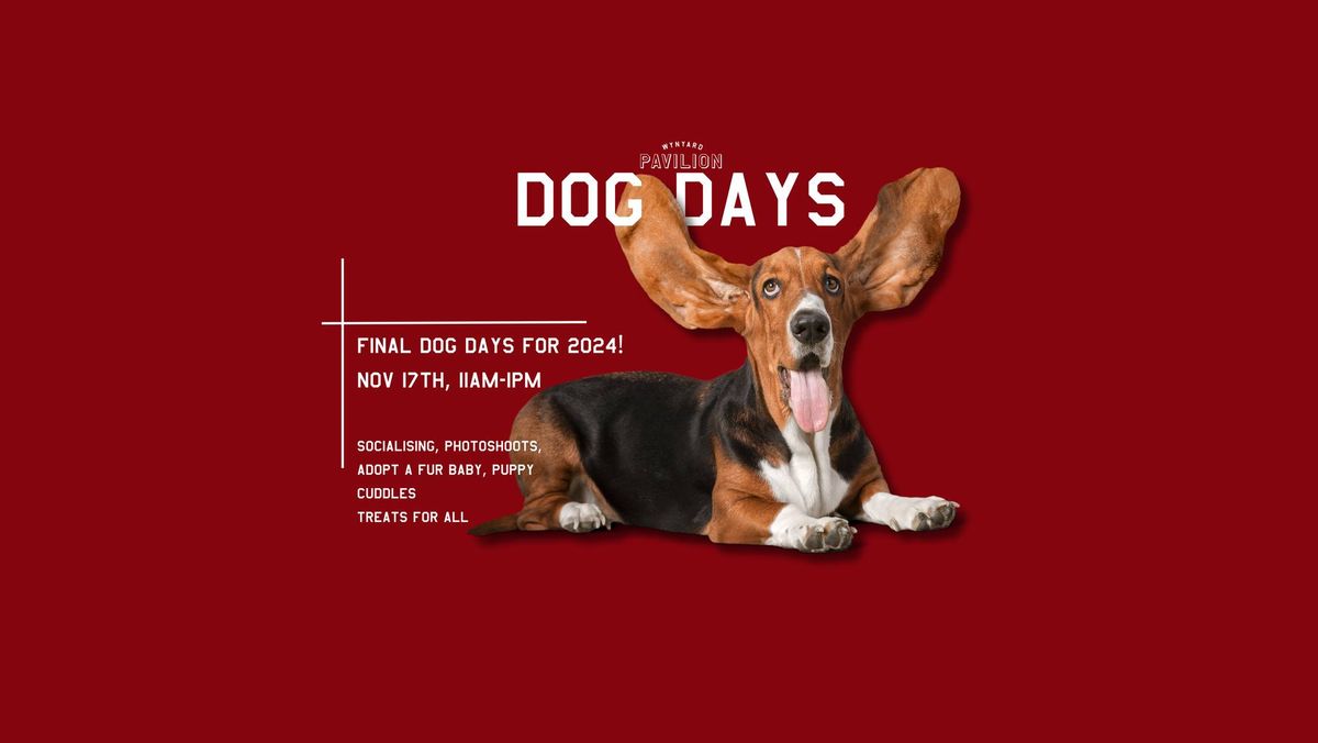 LAST DOG DAYS of 2024!