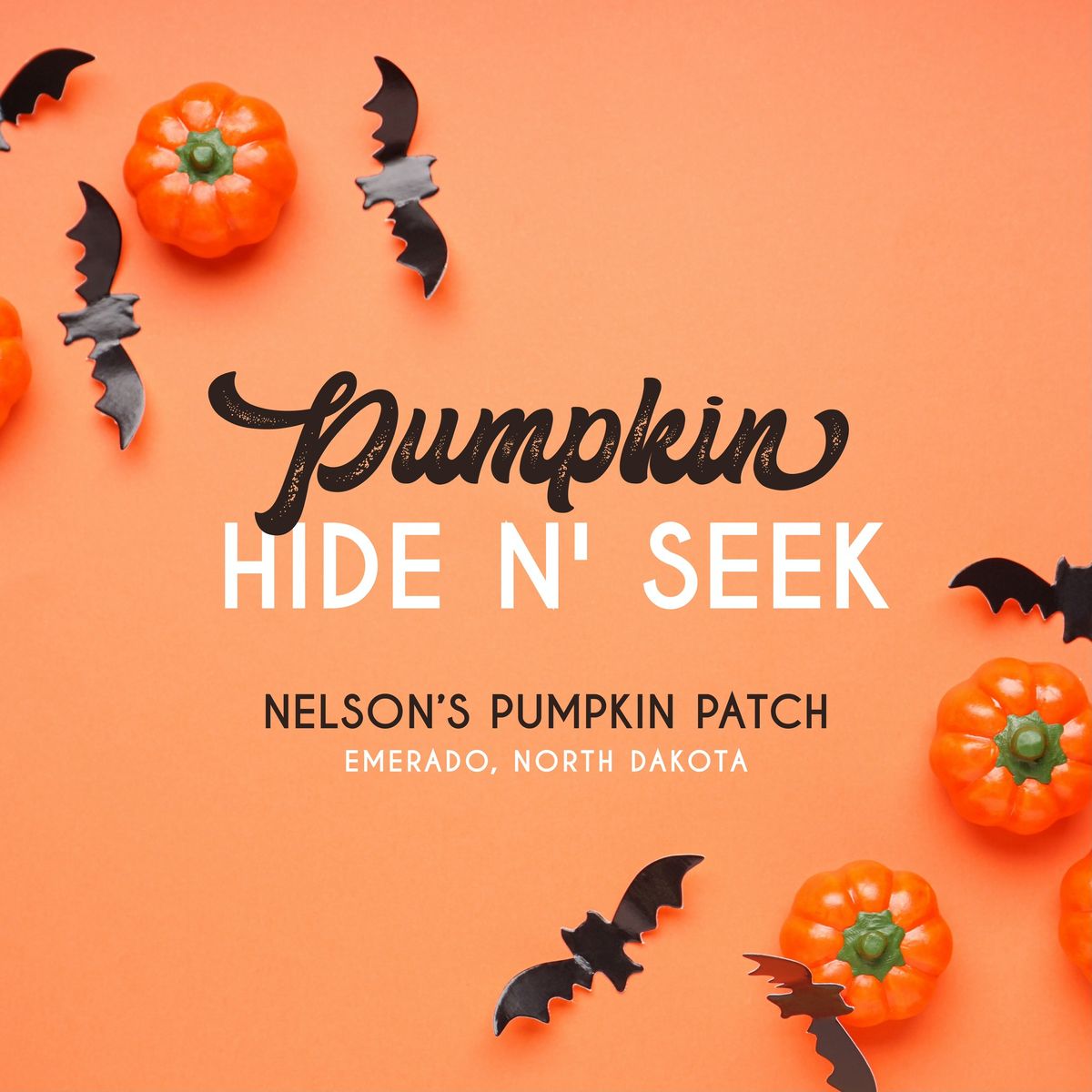 Pumpkin Hide N' Seek