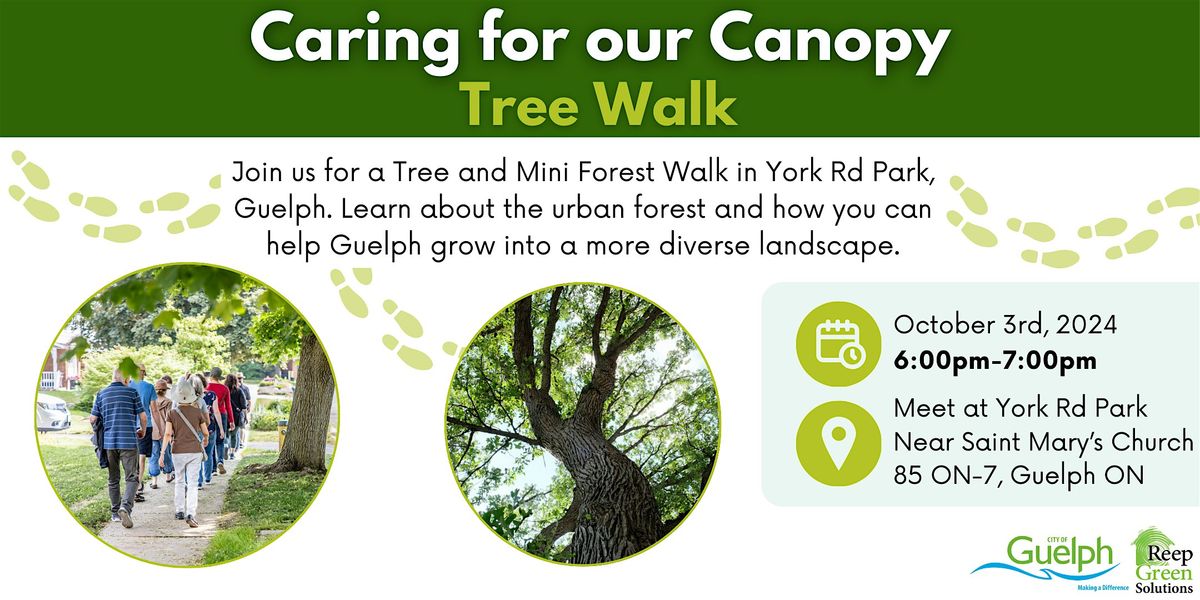 Caring for our Canopy: Tree Walk #2